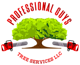 Professional Guys Tree Services LLC