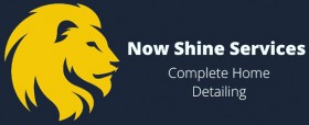 Now Shine Services