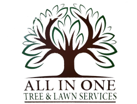 All In One Tree And Lawn Service