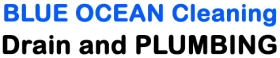 BLUE OCEAN Cleaning Drain and PLUMBING