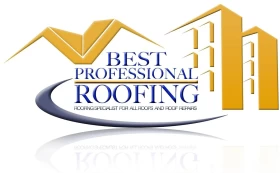 Best Professional Roofing