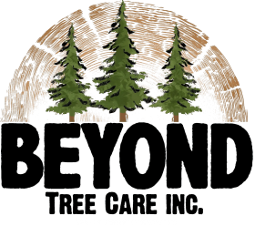 Beyond Tree Care Inc