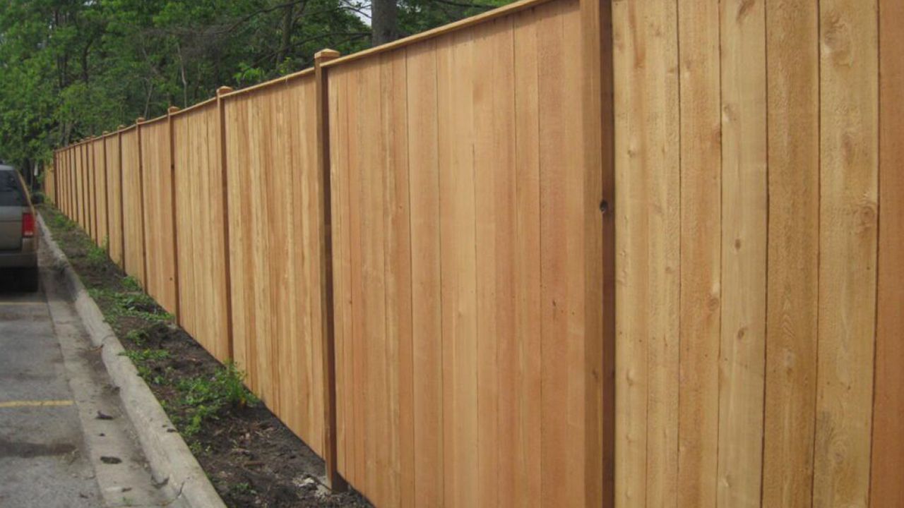 Fence Replacement & Small Handyman Jobs