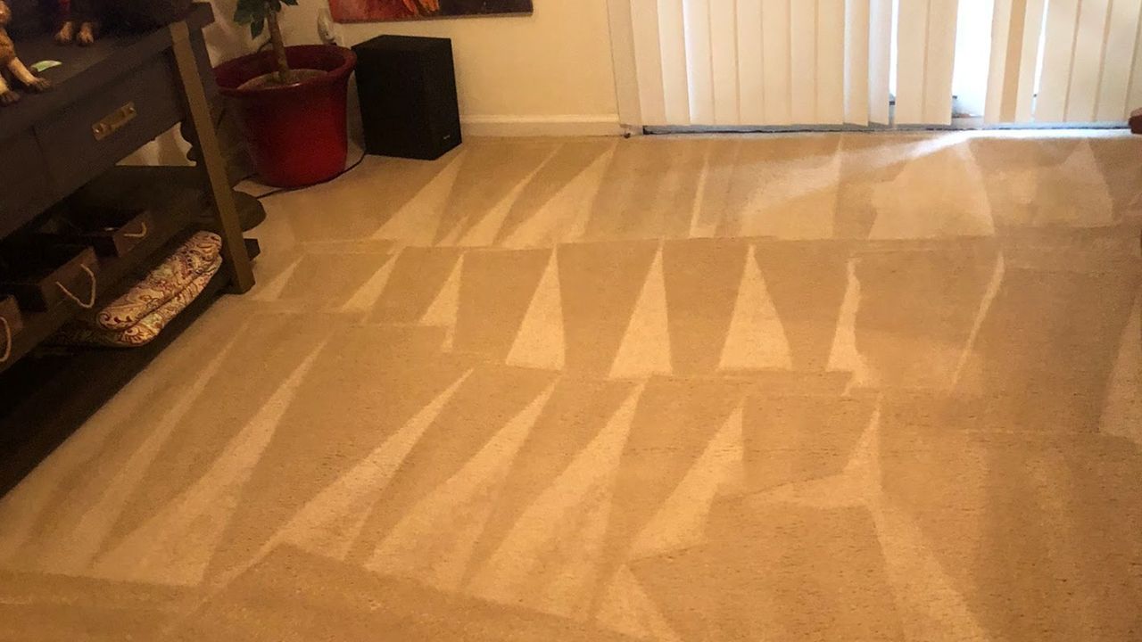 Carpet Cleaning