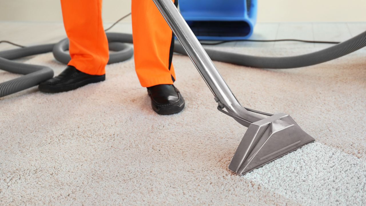 Carpet Cleaning