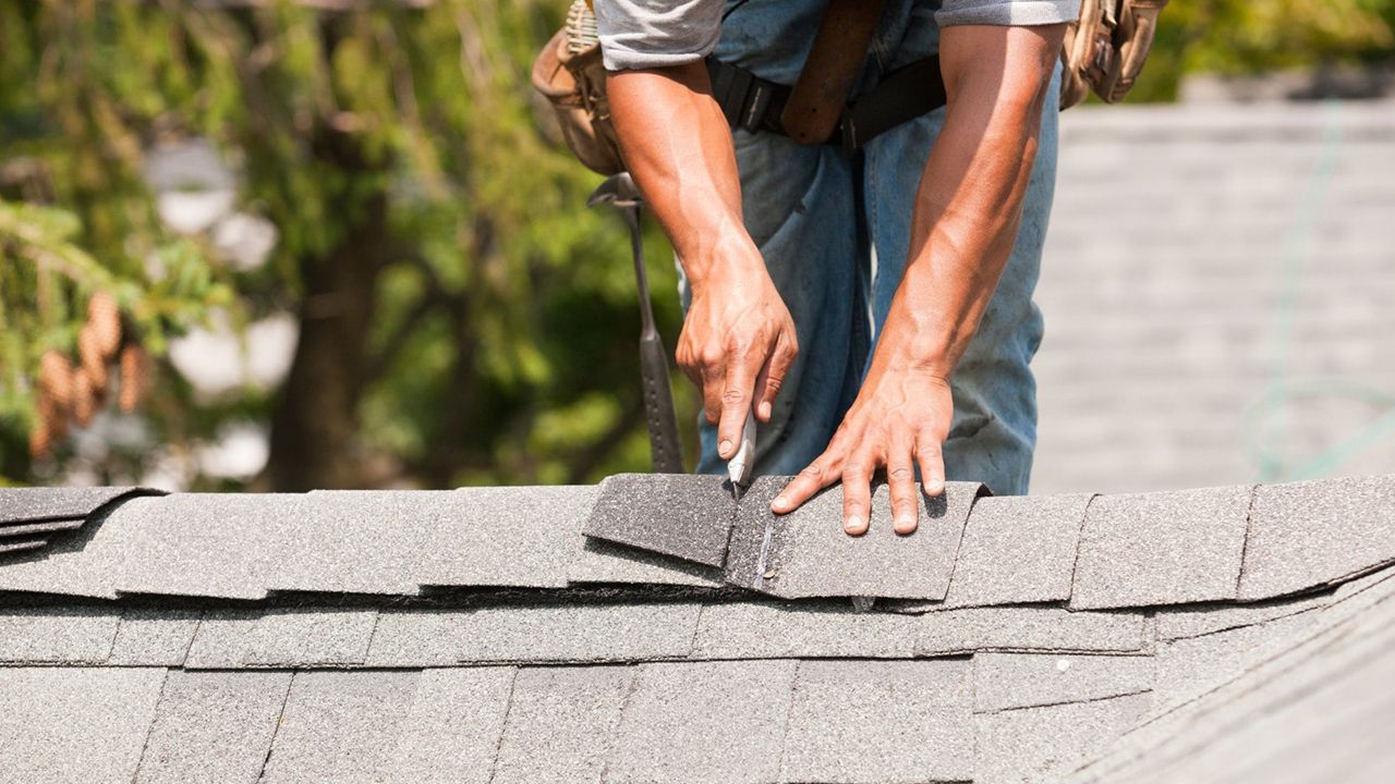 Roof Maintenance