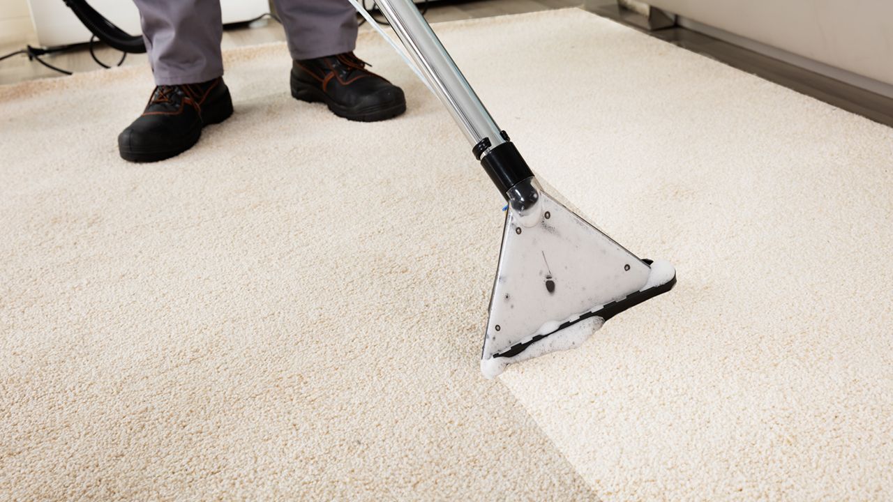 Carpet Cleaning