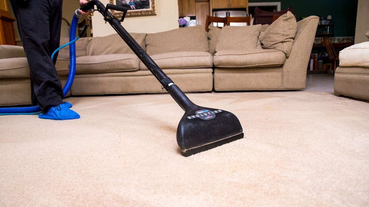 Carpet Cleaning