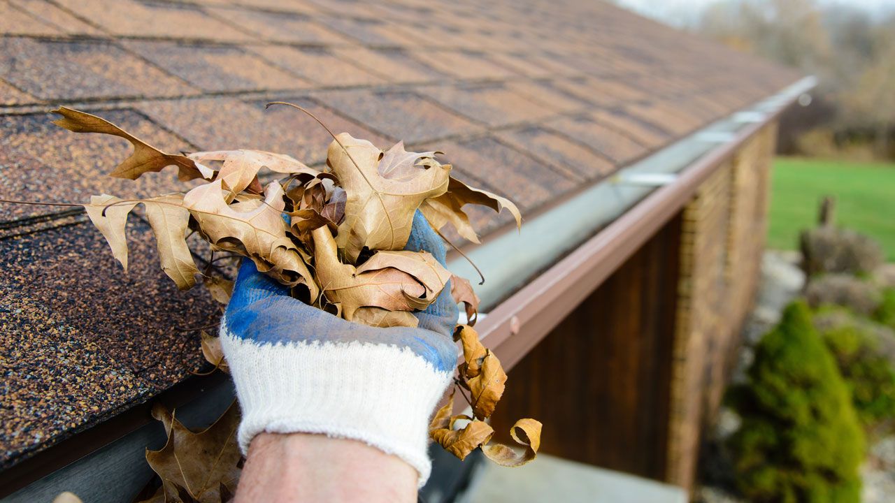 Leak Repair & Gutter Cleaning