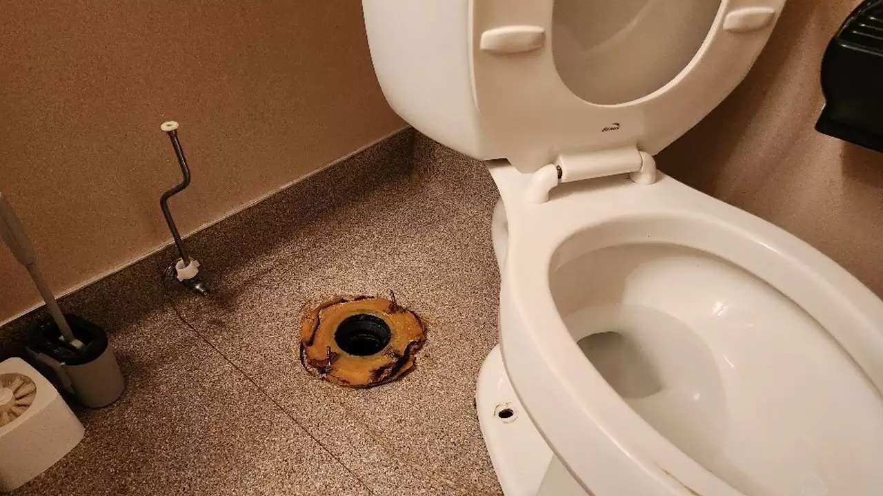 Clogged Toilets