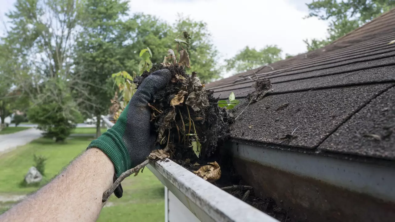 Gutter Cleaning