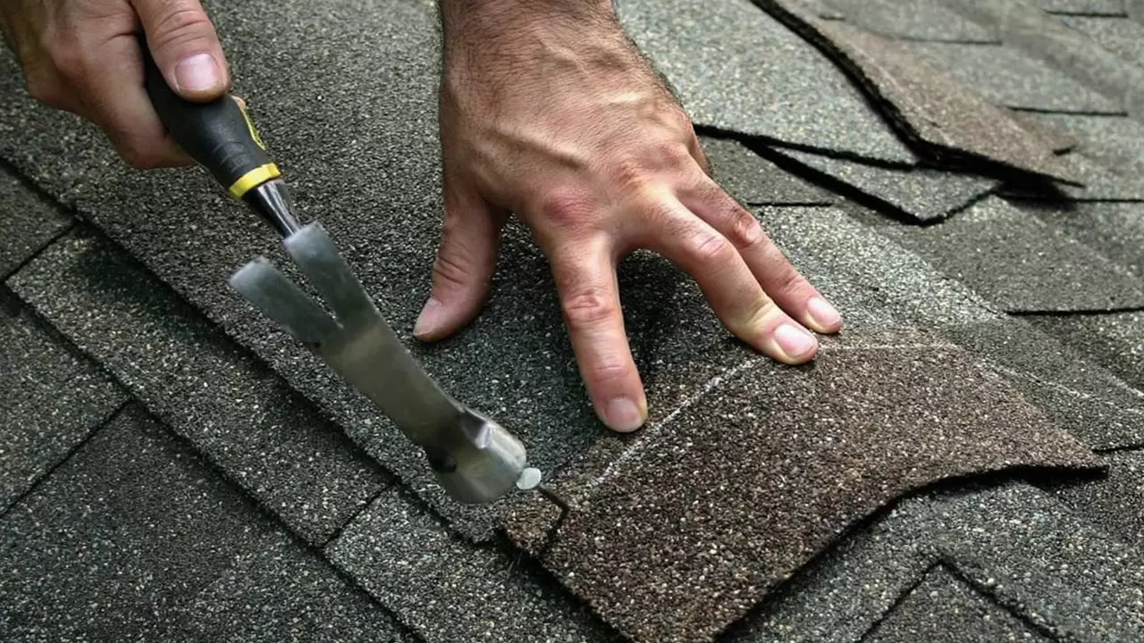 Roof Repair Service