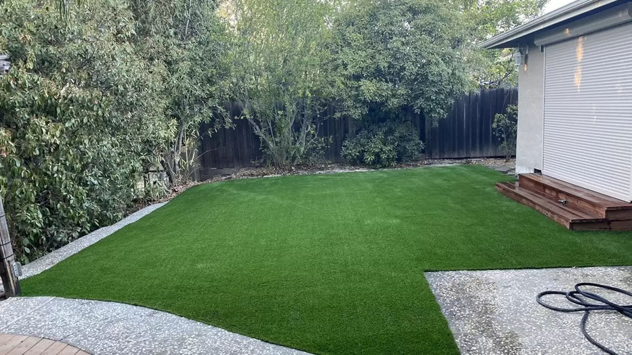 Artificial Grass