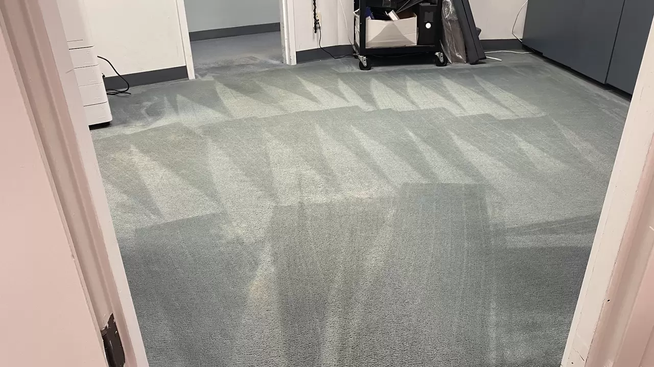 Carpet Cleaning