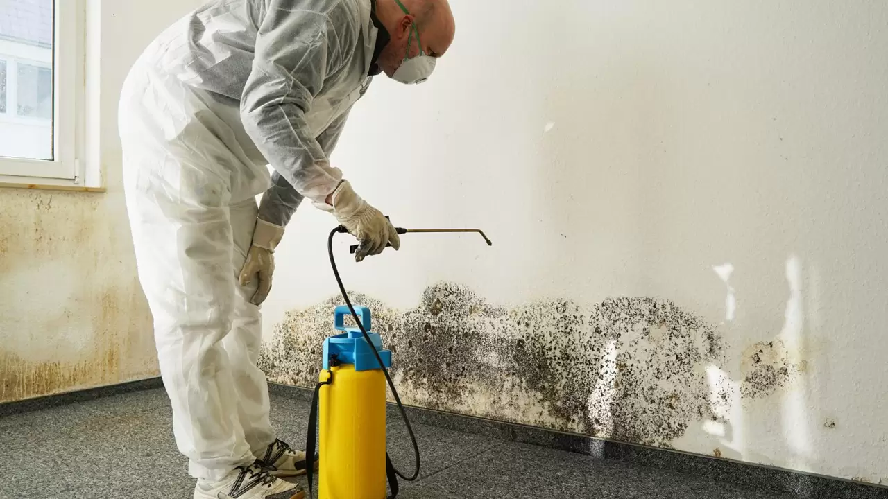 Mold Remediation