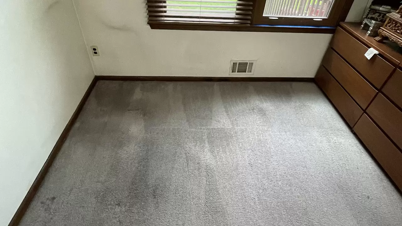 Carpet Cleaning