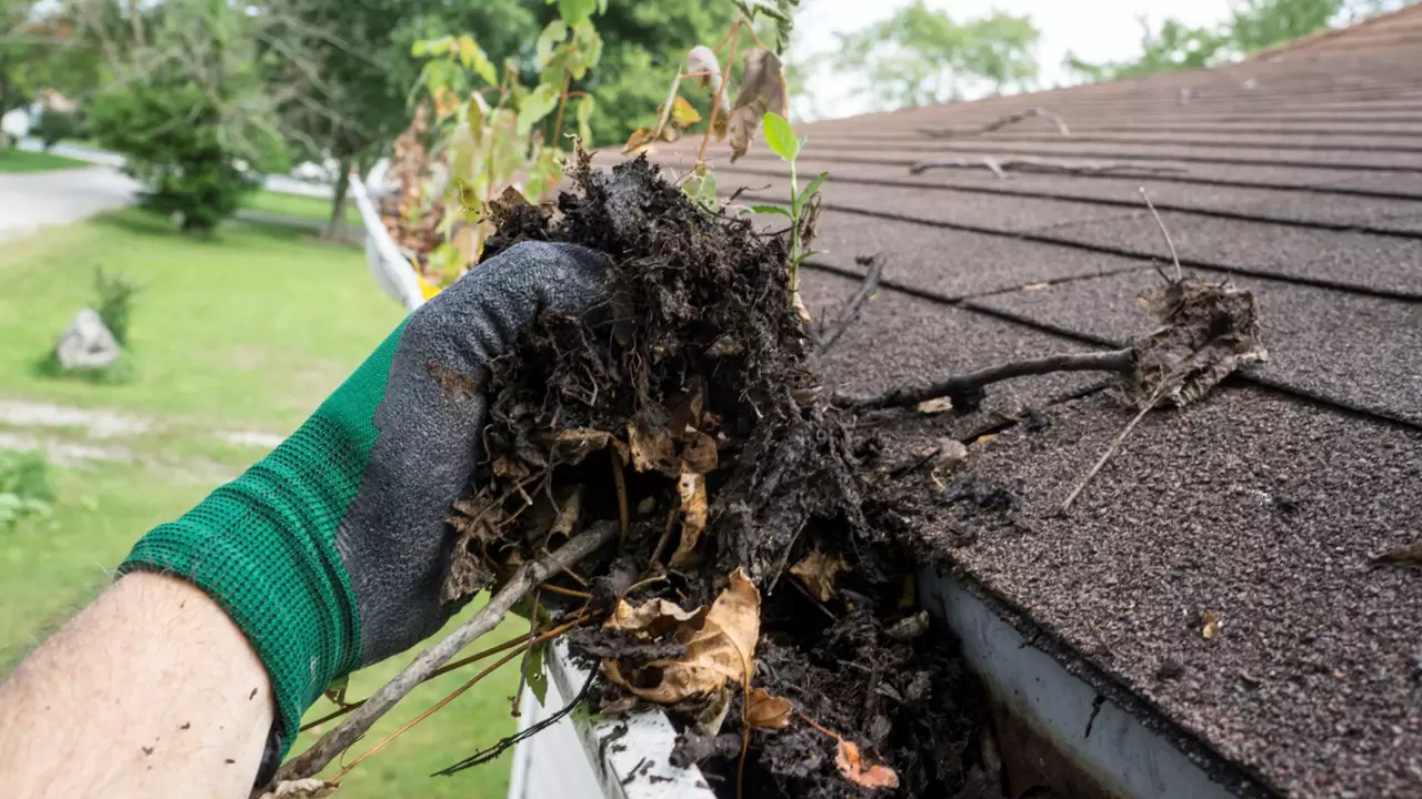 Gutter Services