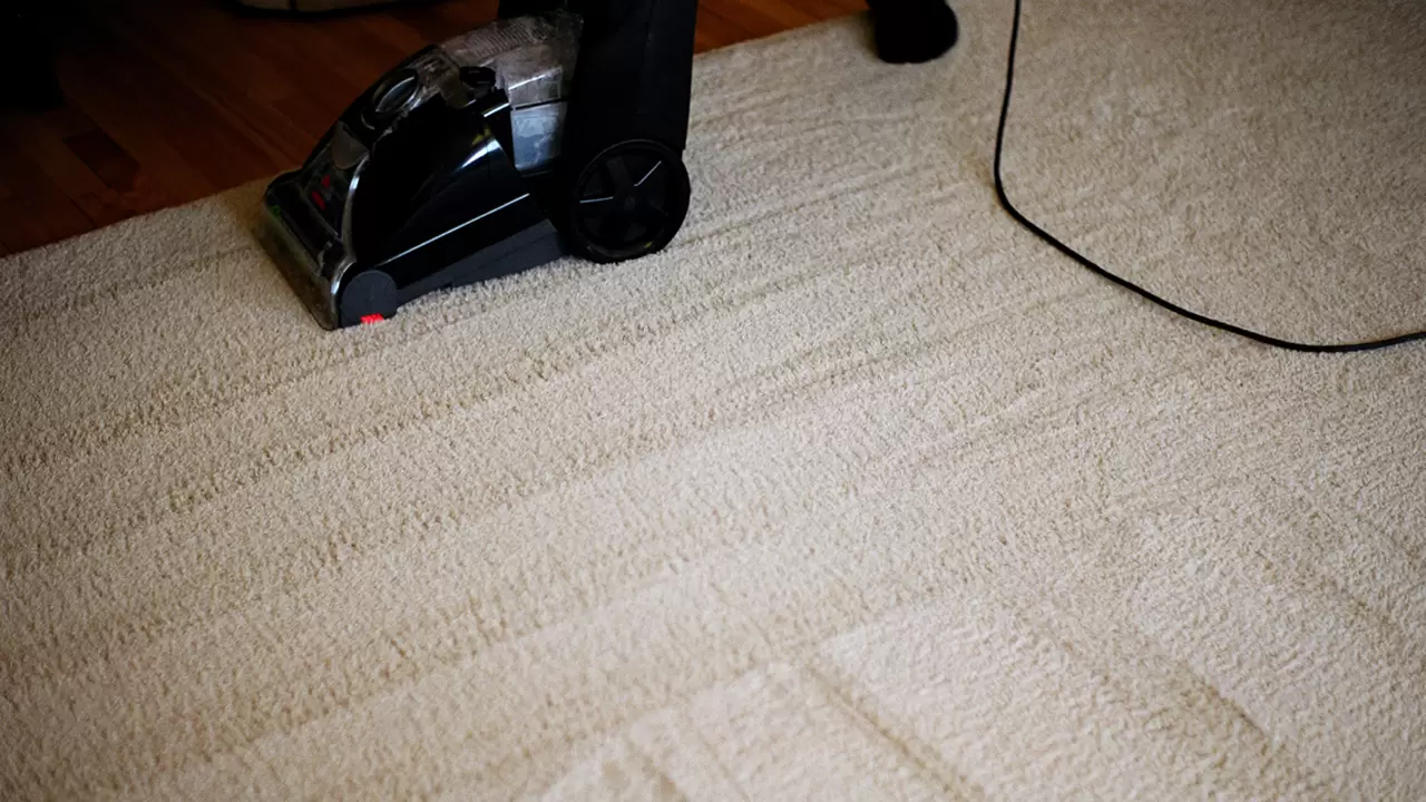 Carpet Cleaning