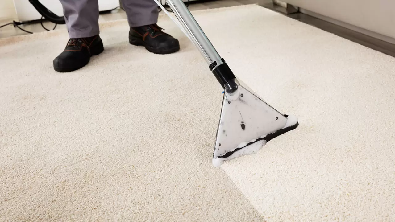 Rug & Carpet Cleaning