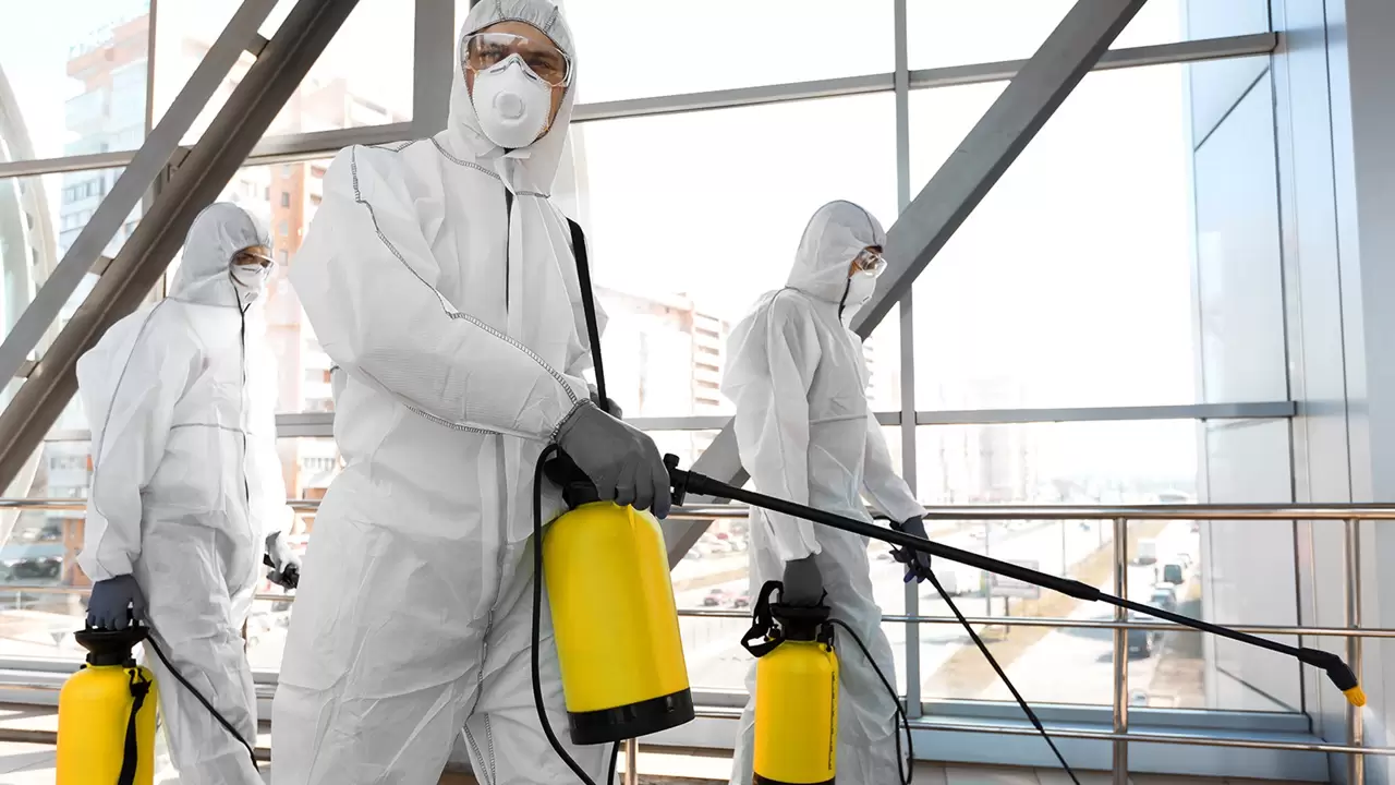 Mold Remediation