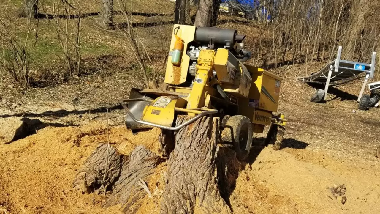 Tree Services & Fence Installation