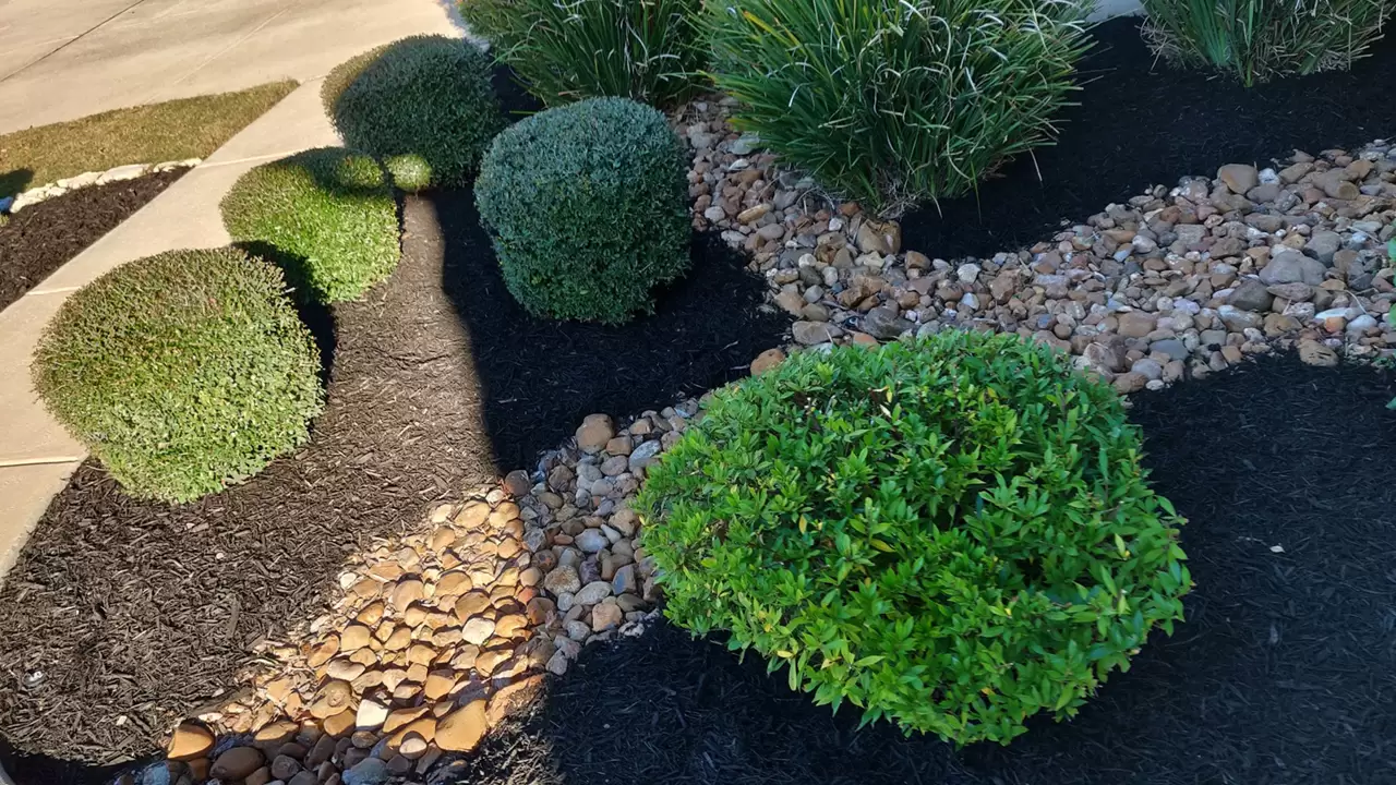 Landscape Services