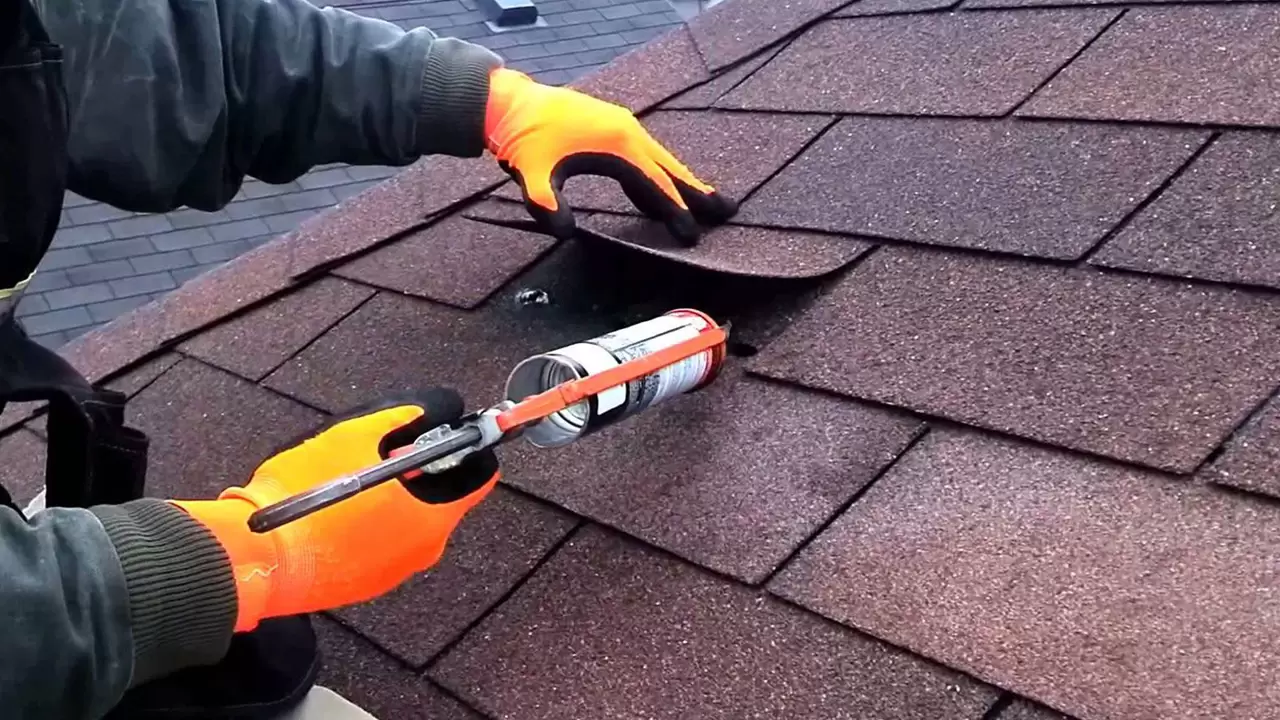 Roof Leak Repair, Roof Inspection