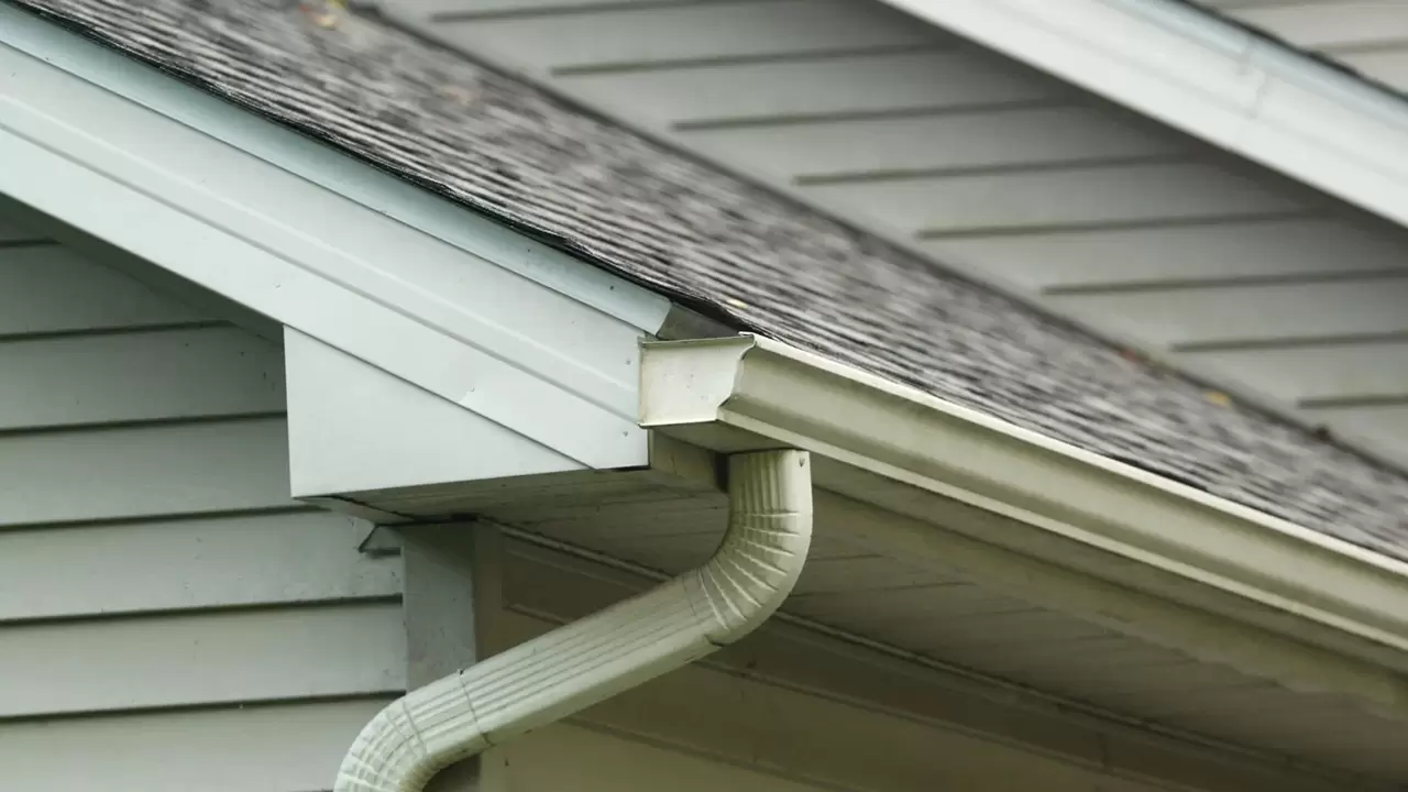 Gutters/Downspouts , Skylights