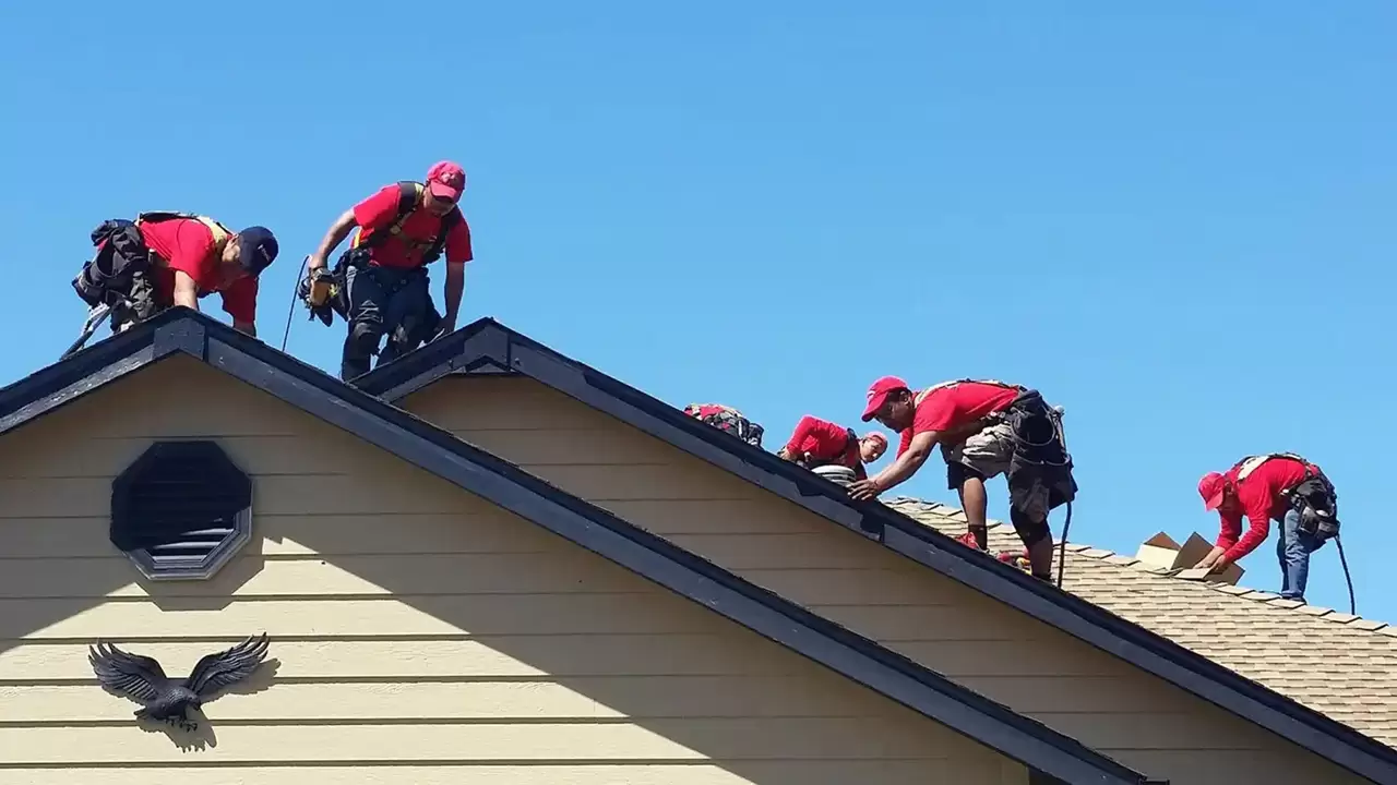 Roof Repair