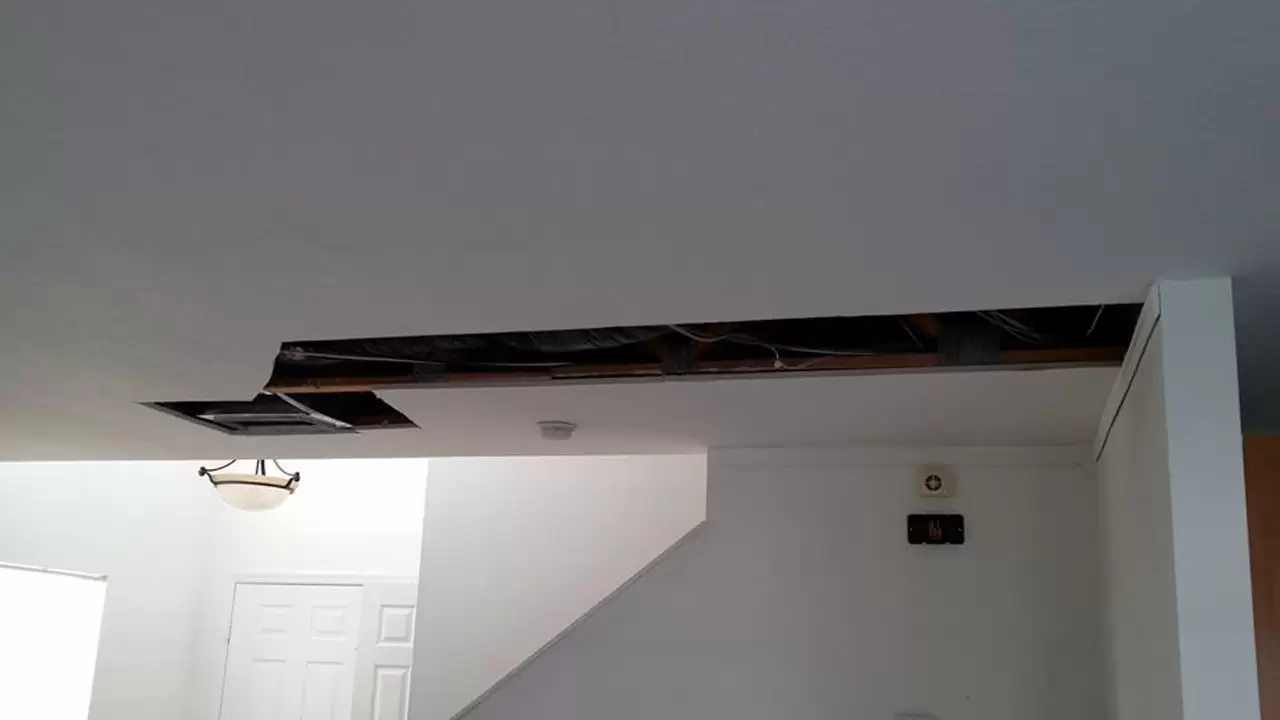 Ceiling Repair