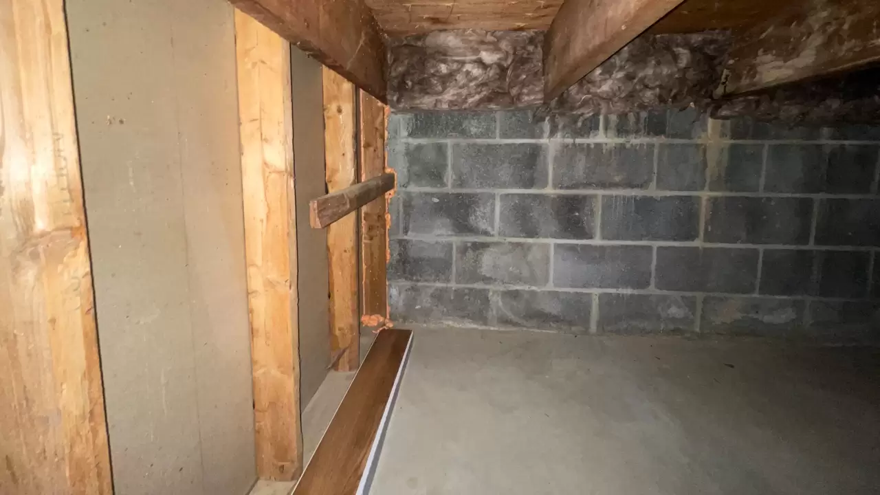 Insulation Removal