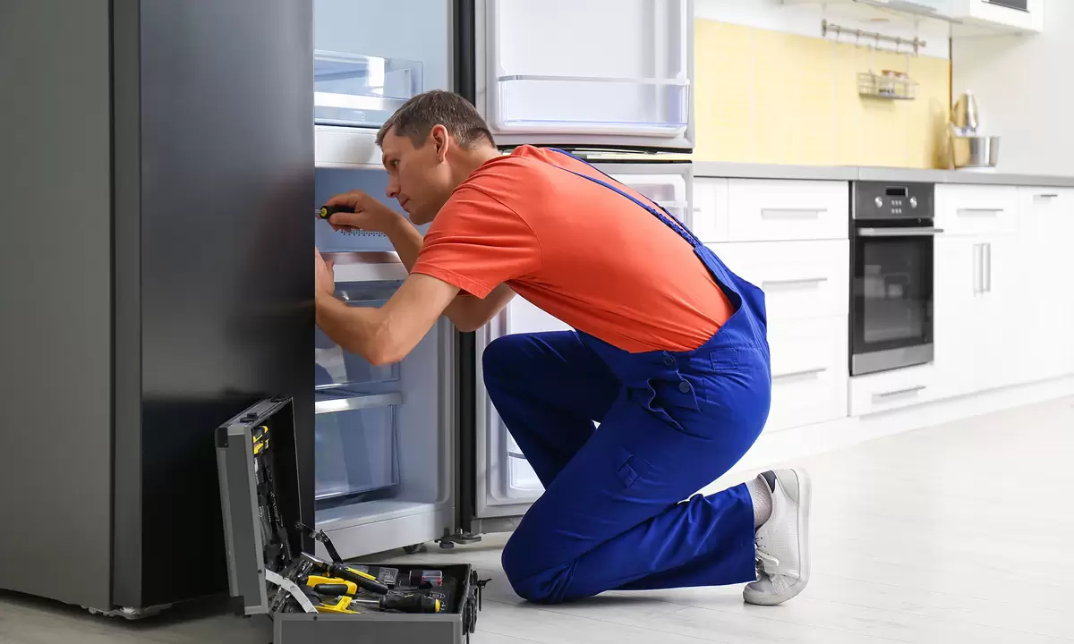 Appliances Maintenance