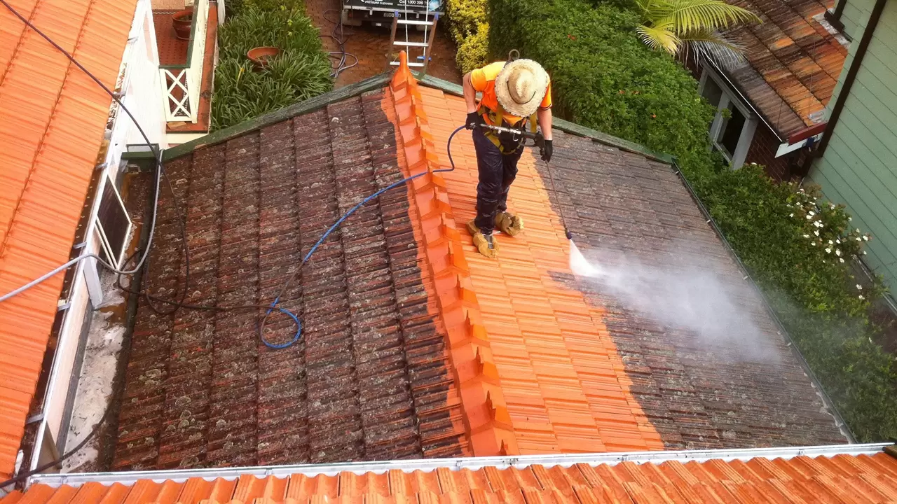 Painting, Power Washing, Roofing