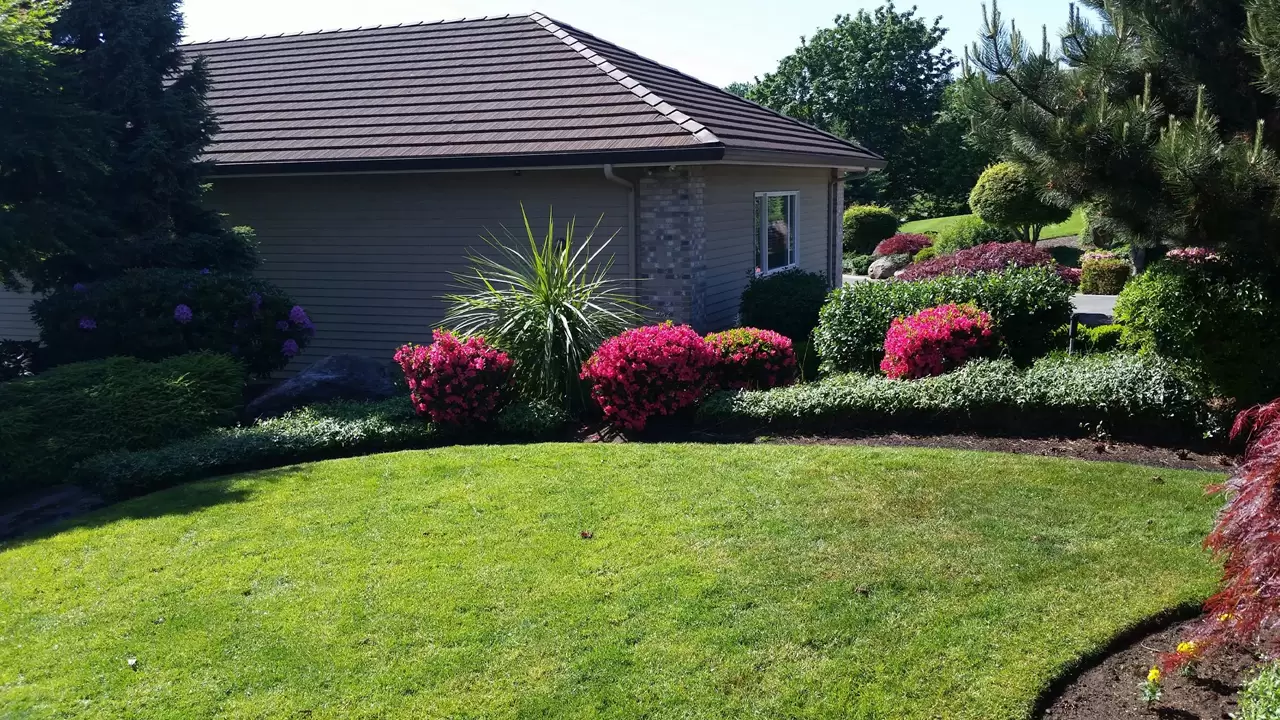 Landscape Maintenance & Lawn Care