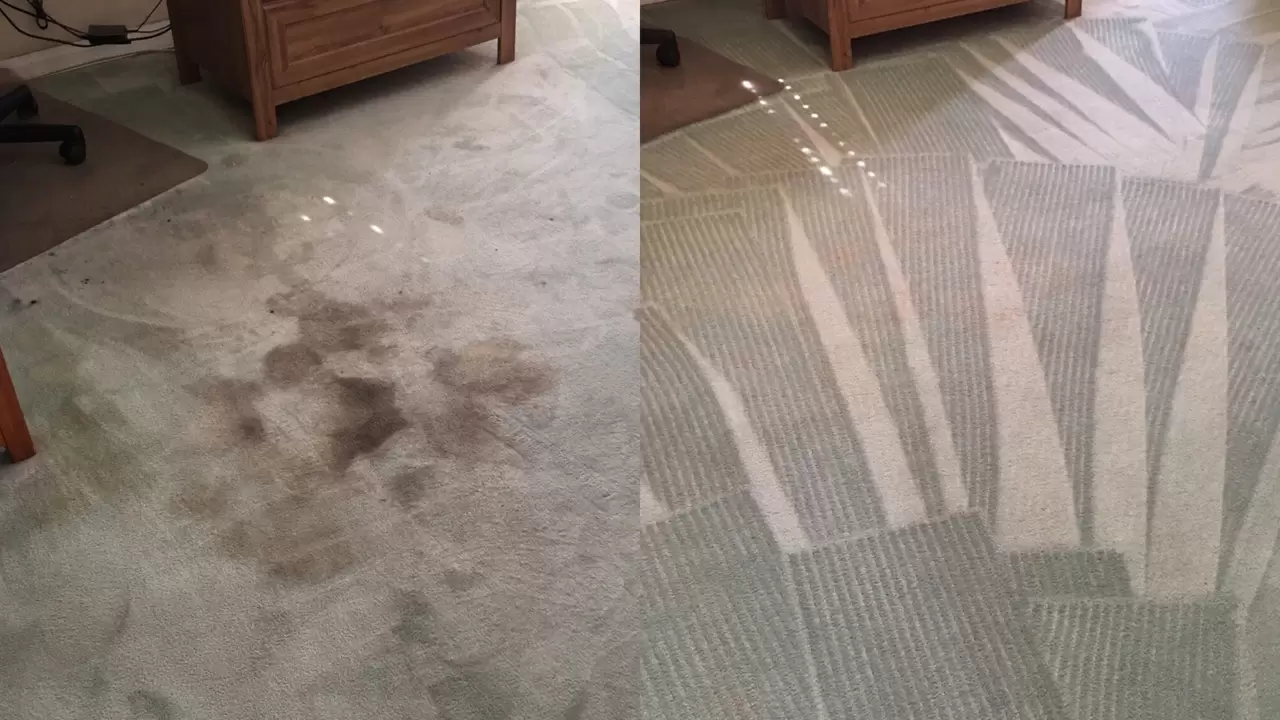 Area Rug Cleaning