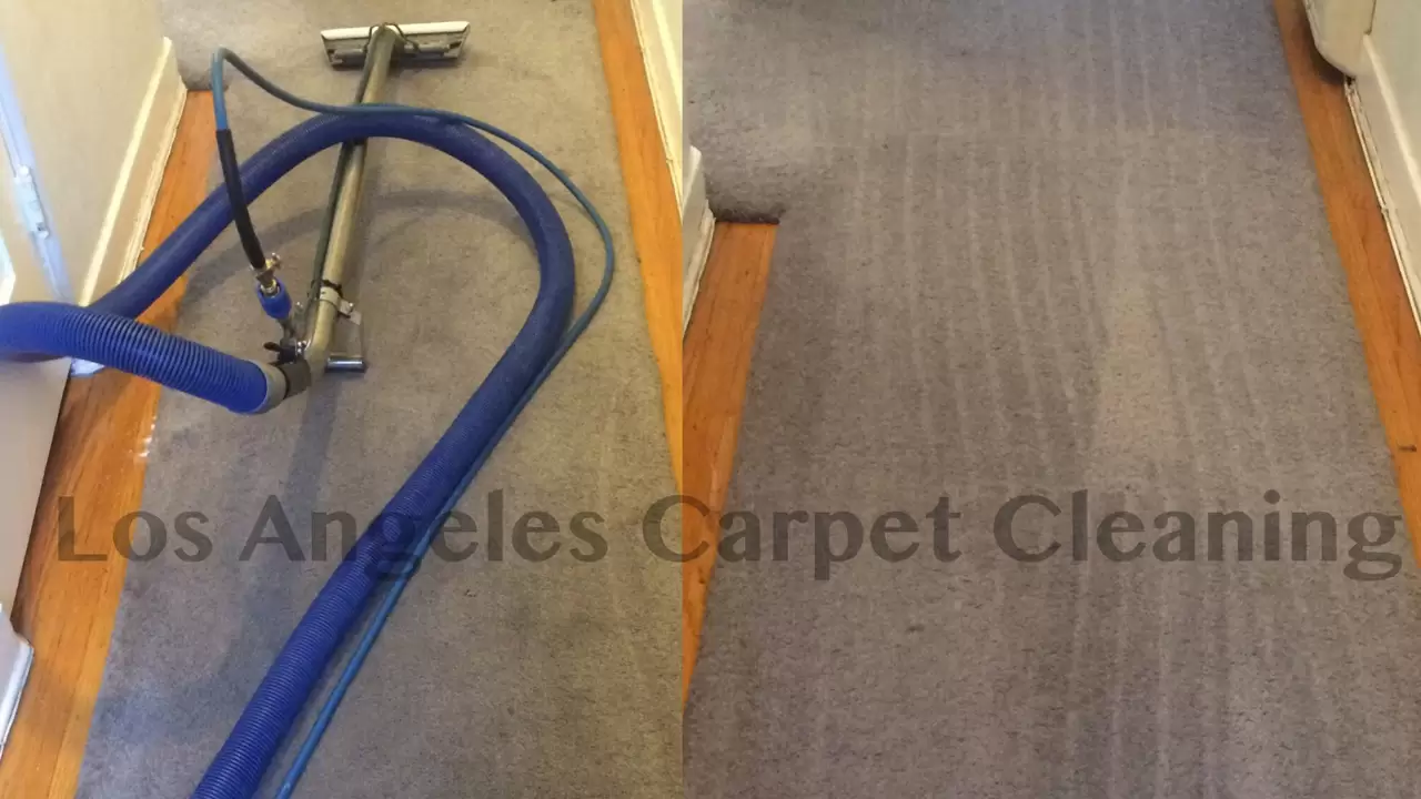 Carpet Cleaning