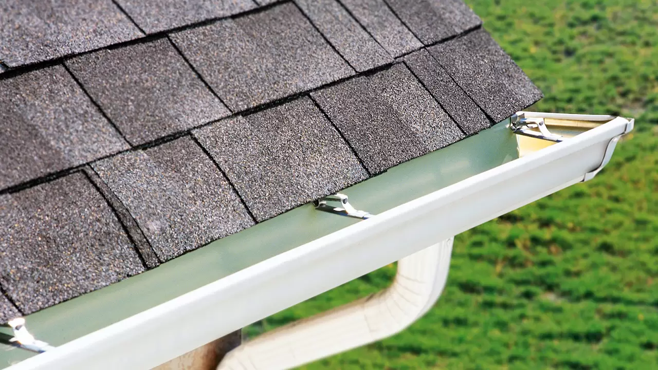 Gutter Services