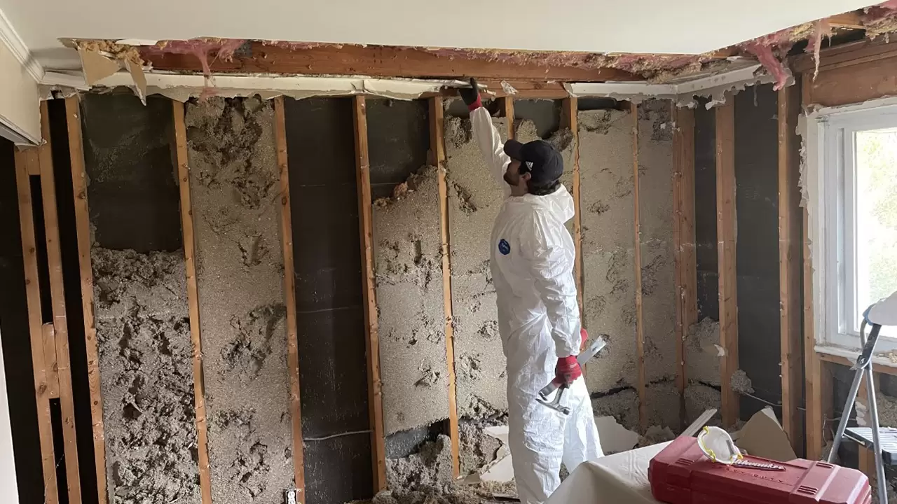 MOLD RESTORATION