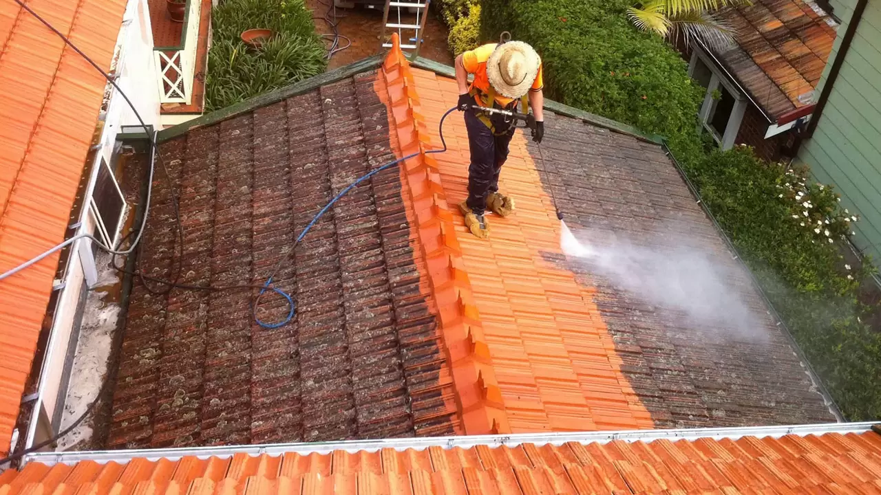 Roof Cleaning, Vinyl Siding