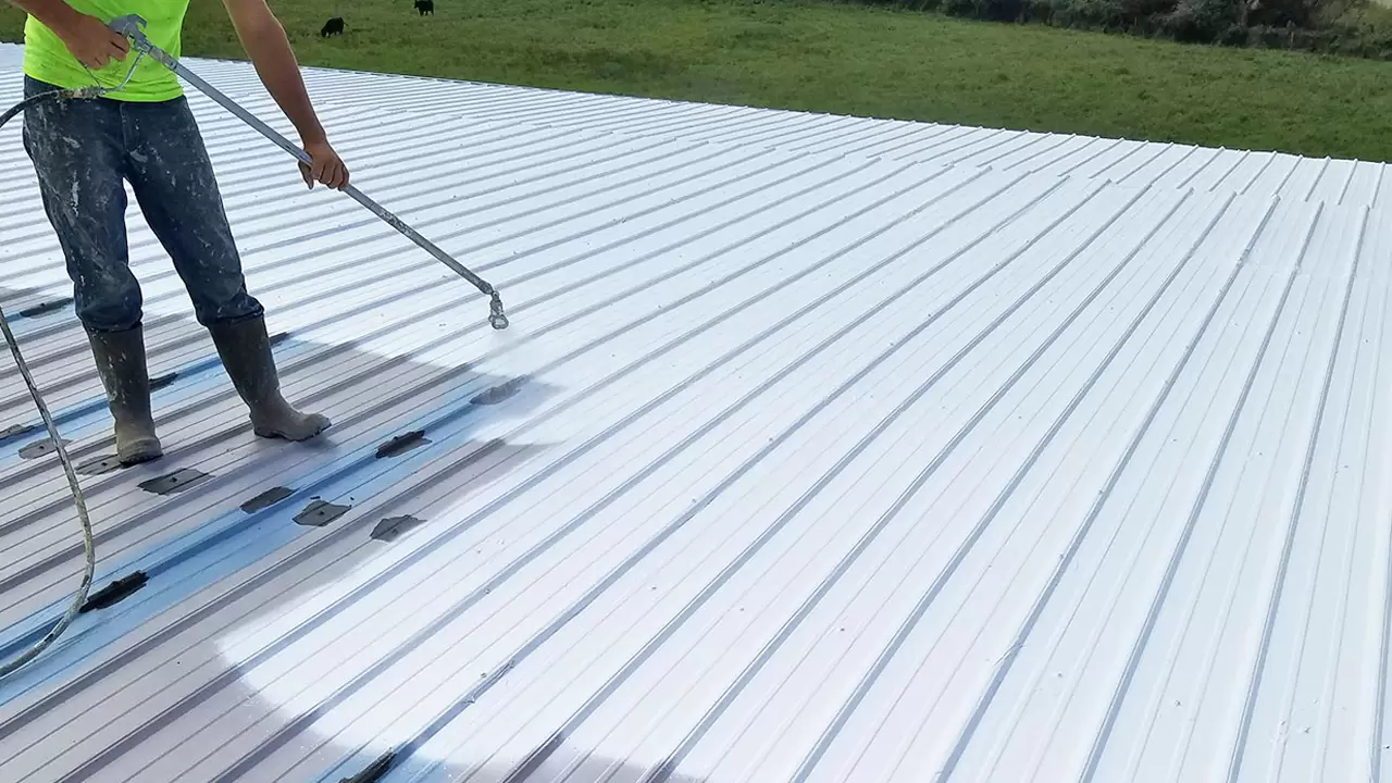 Roof Coating