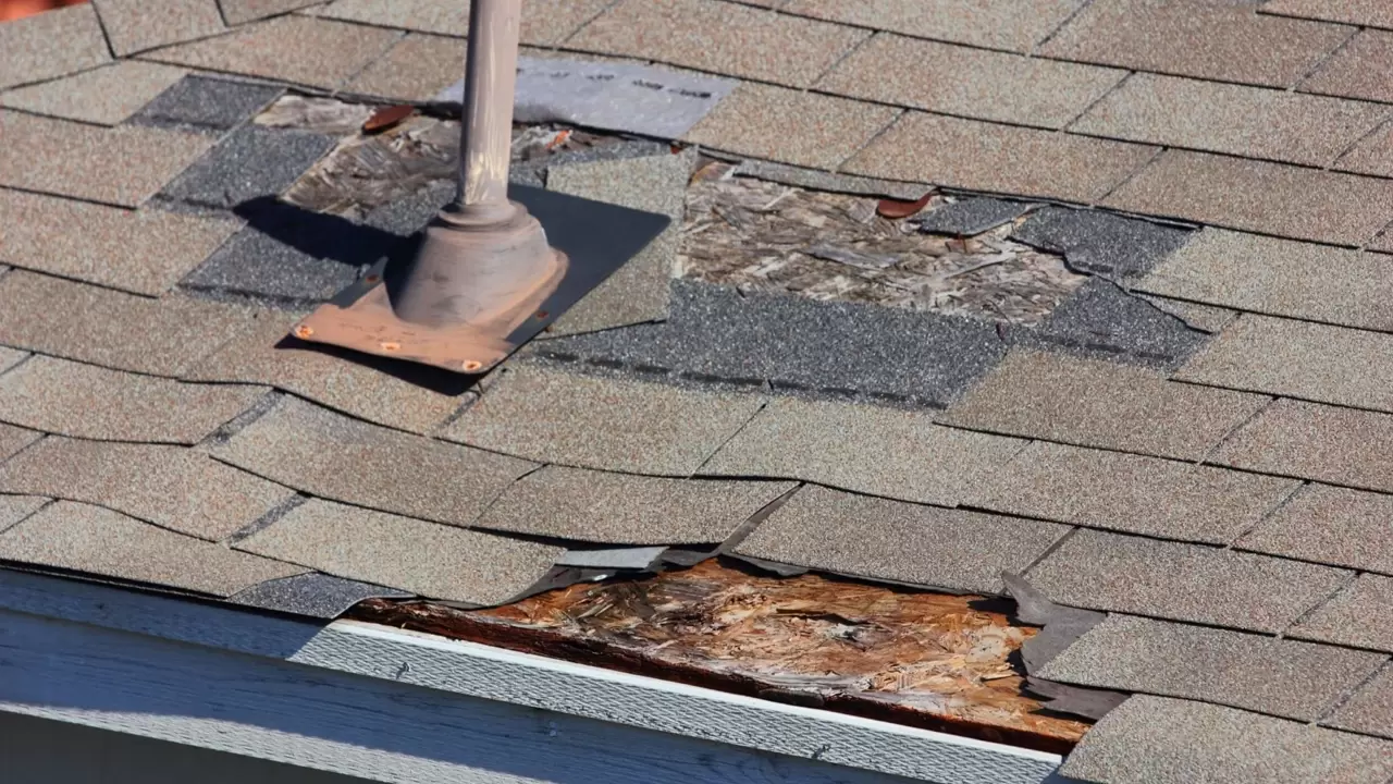 Roof Repair