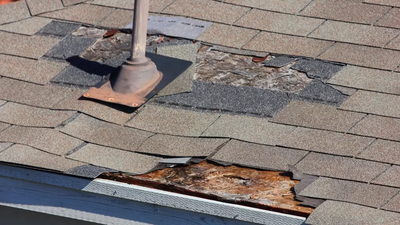 Roof Repair