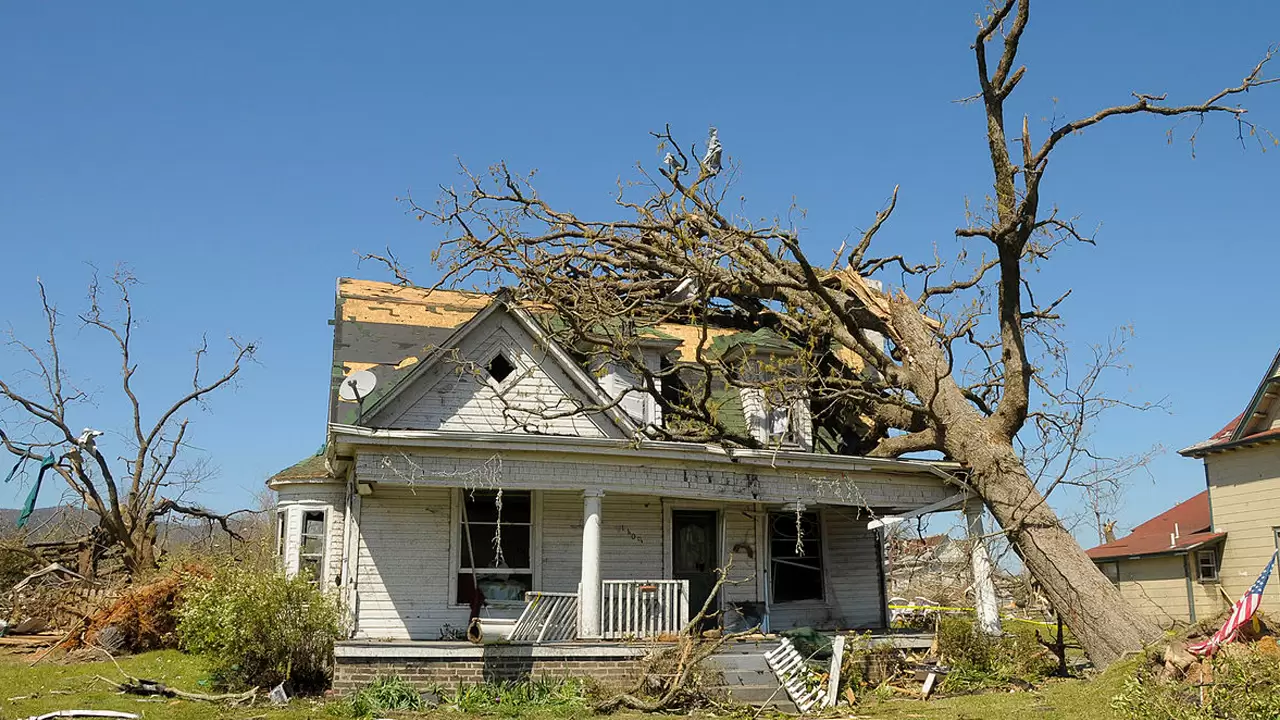 Storms Damage