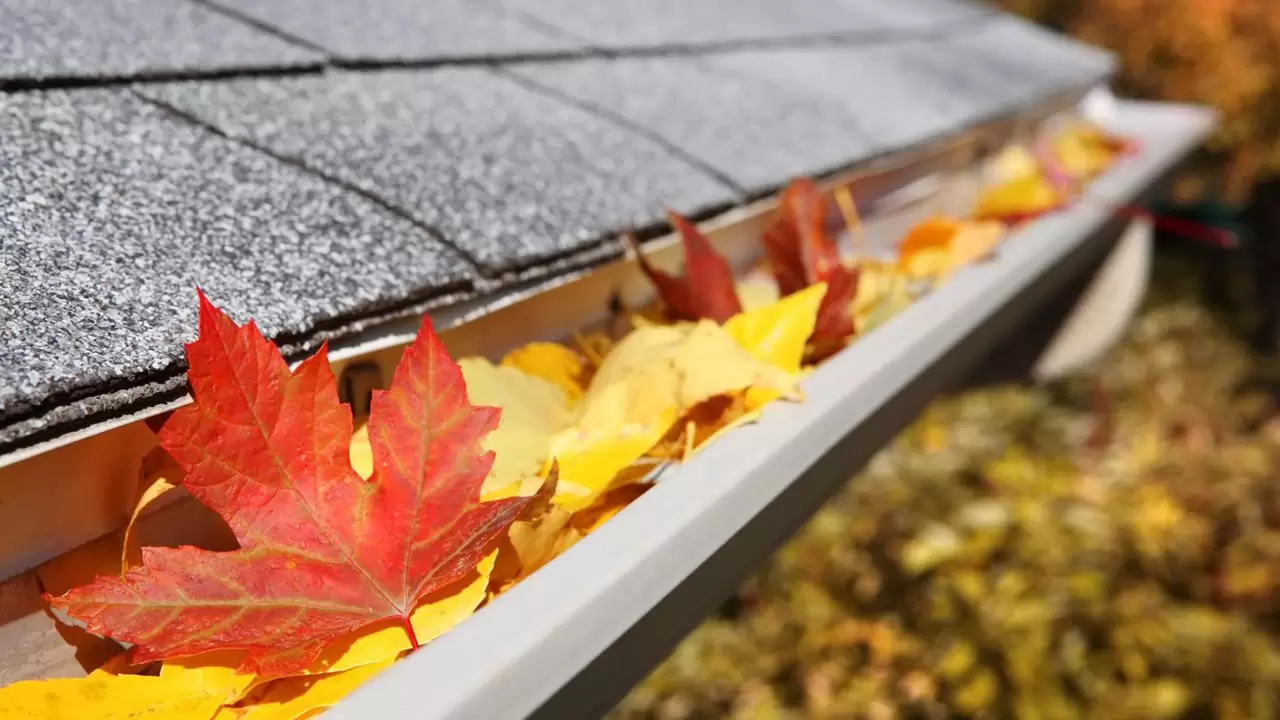 Gutter Cleaning