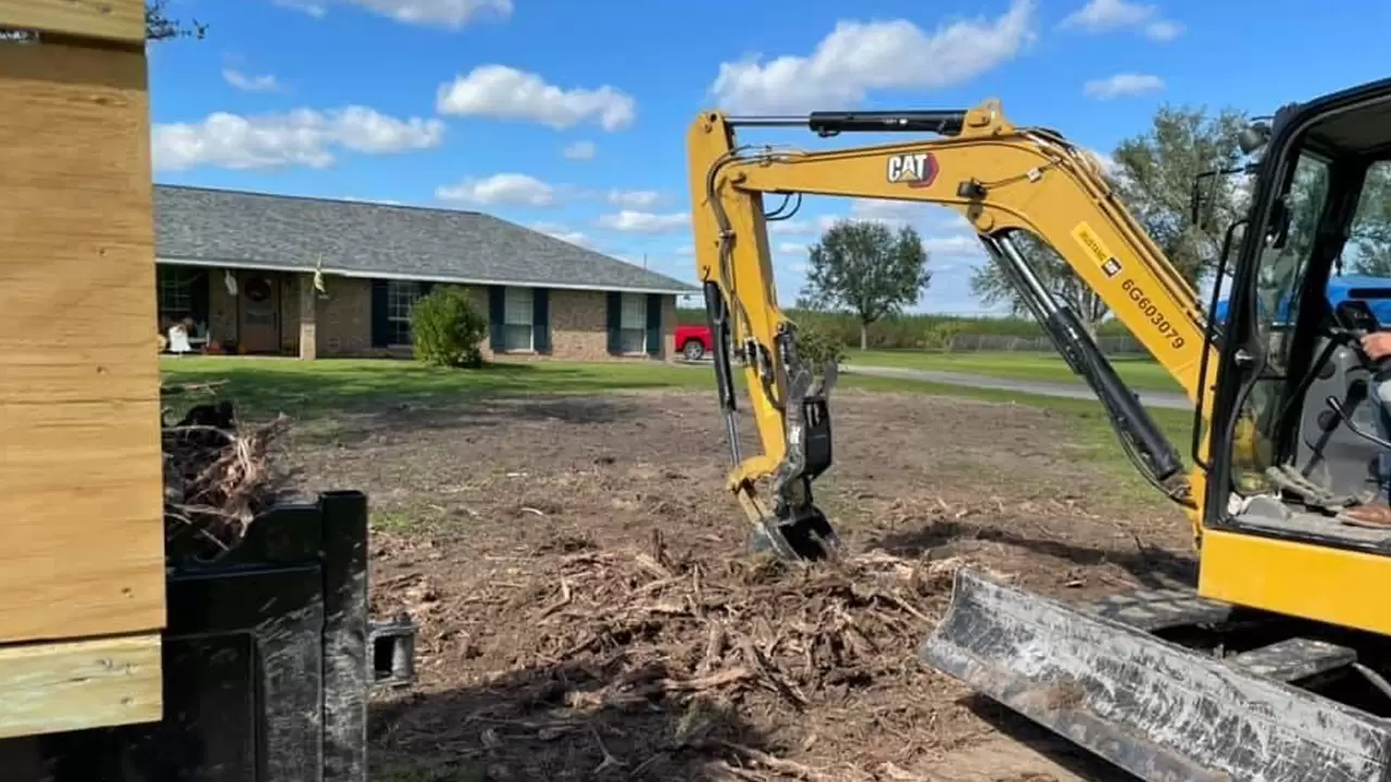 Tree Cleanup