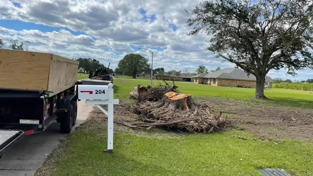 Tree Removal