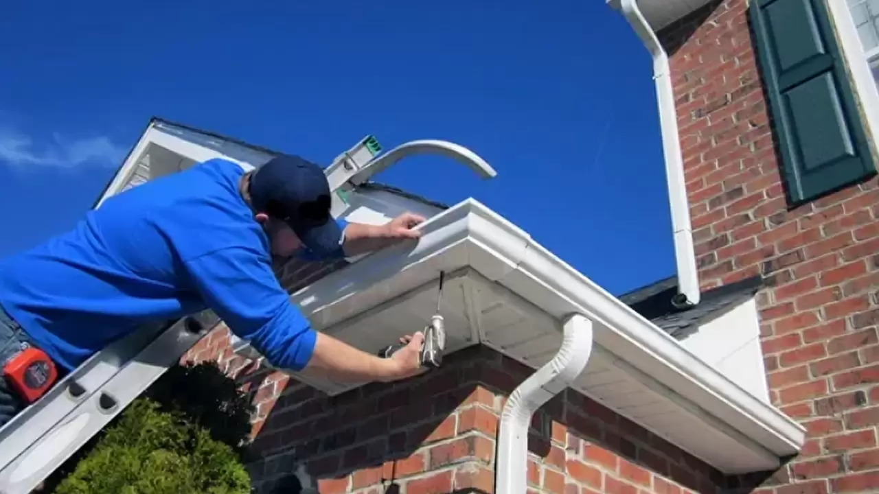 Gutter Service