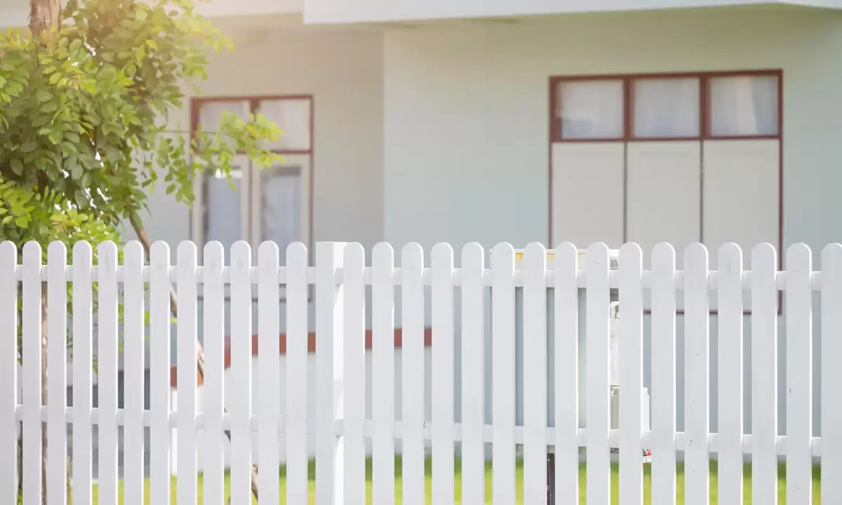 Fence Painting