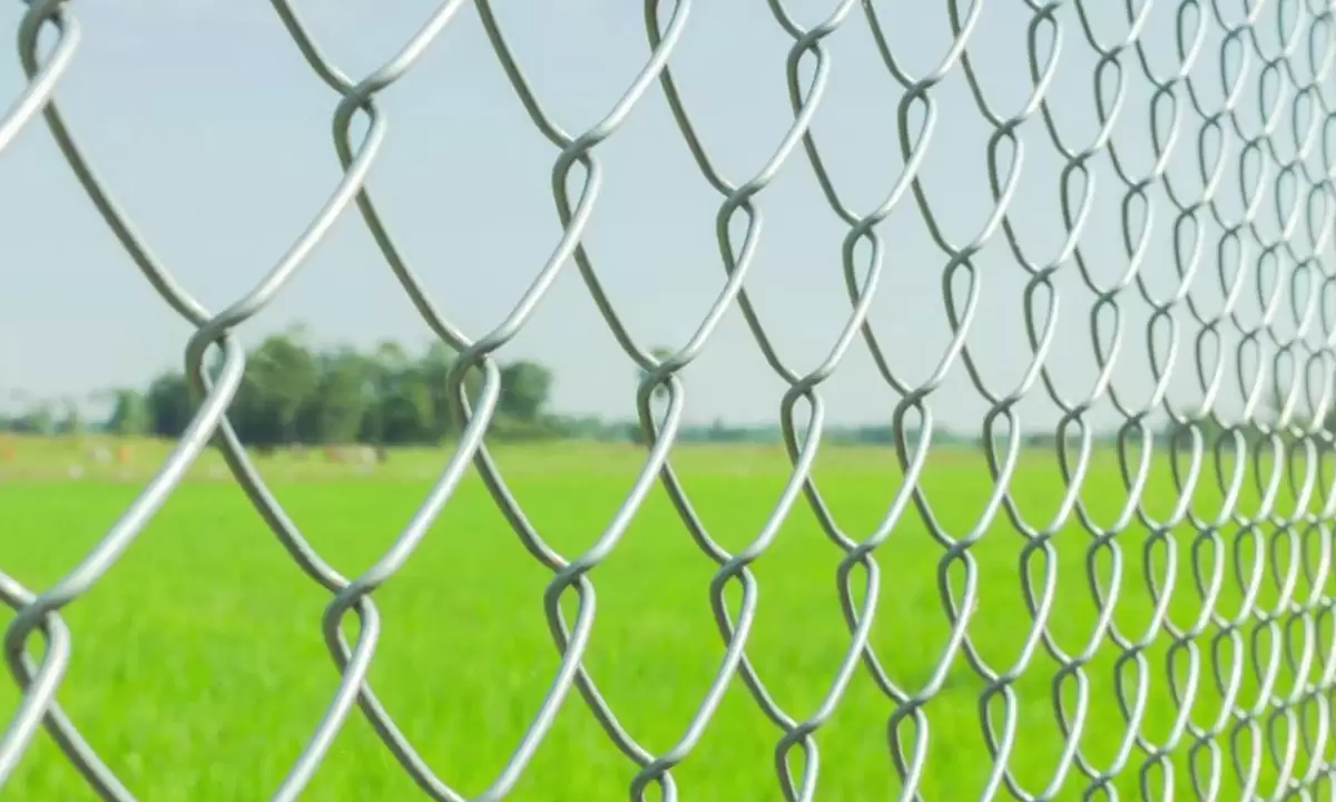 Chain Link