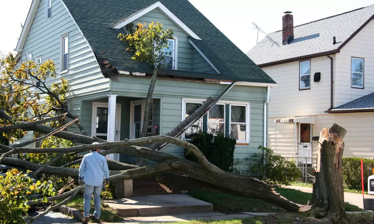 Hail and Storm Damage